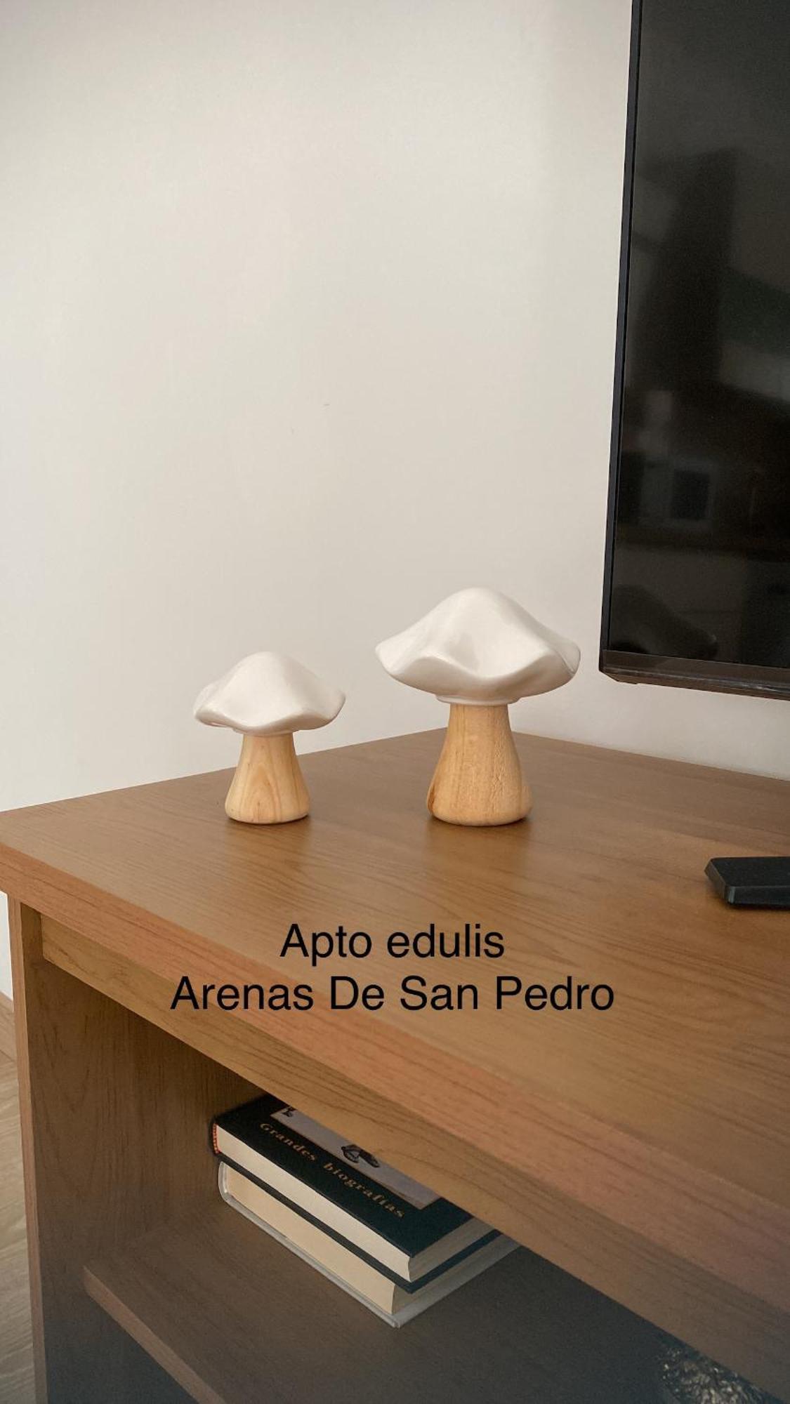 Edulis 1 * Arenas de San Pedro